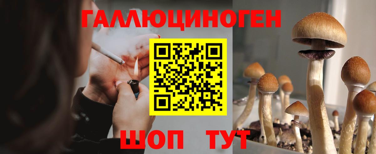 Галлюциногенные грибы GOLDEN TEACHER Сургут